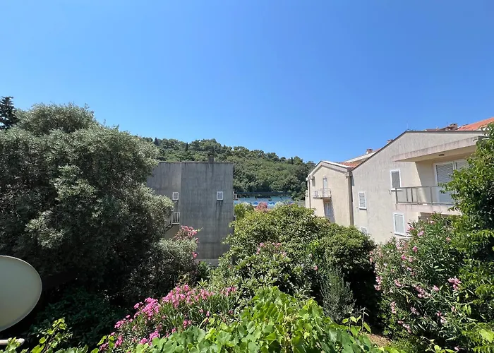 Apartmani Mareta