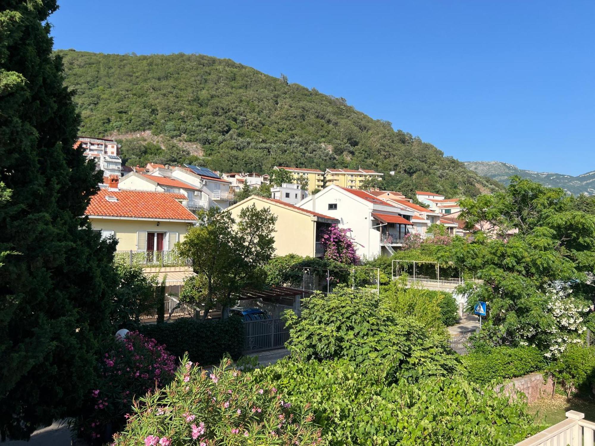 Mareta Petrovac